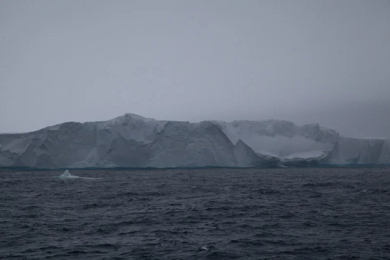 antarcticblogtwo6.jpg