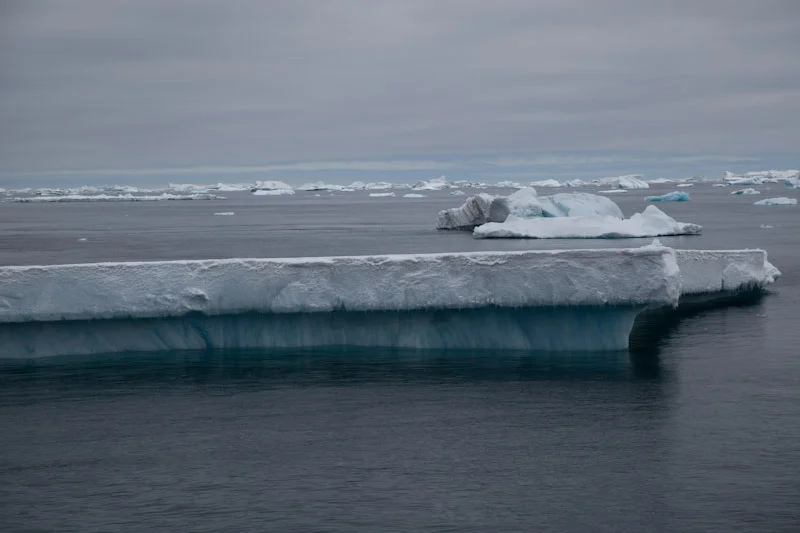 antarcticblogtwo35.jpg