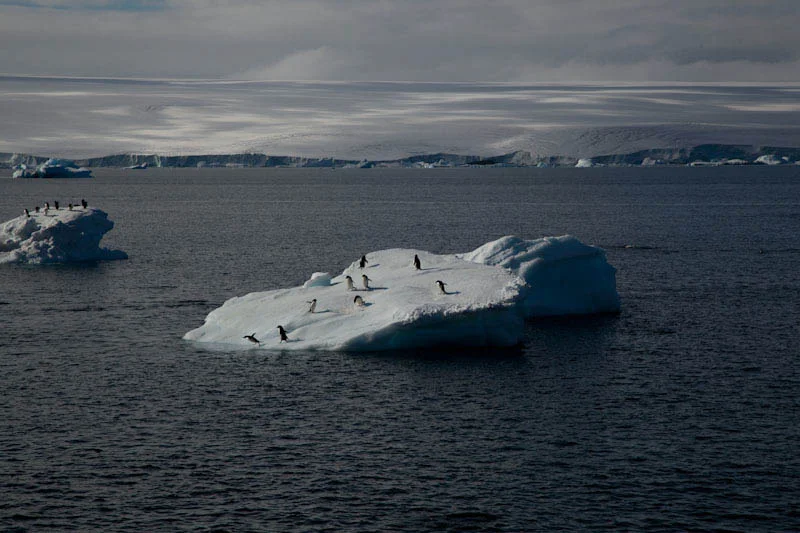 antarcticblogtwo53.jpg