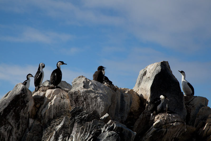 antarcticblogtwo49.jpg