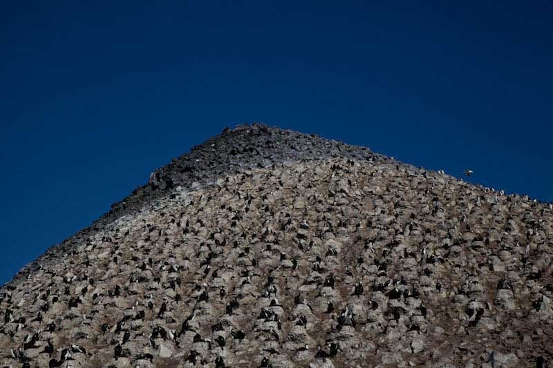 antarcticblogtwo46.jpg