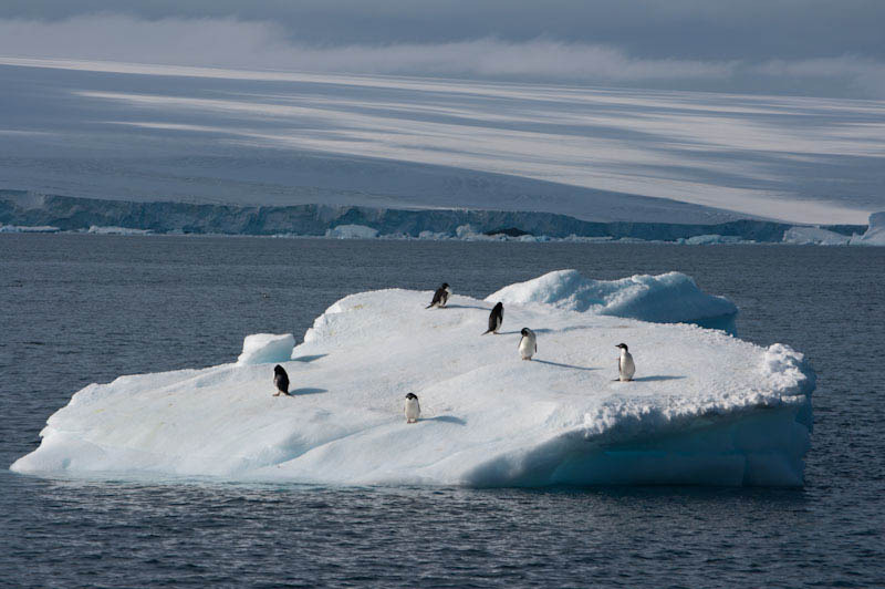 antarcticblogtwo60.jpg