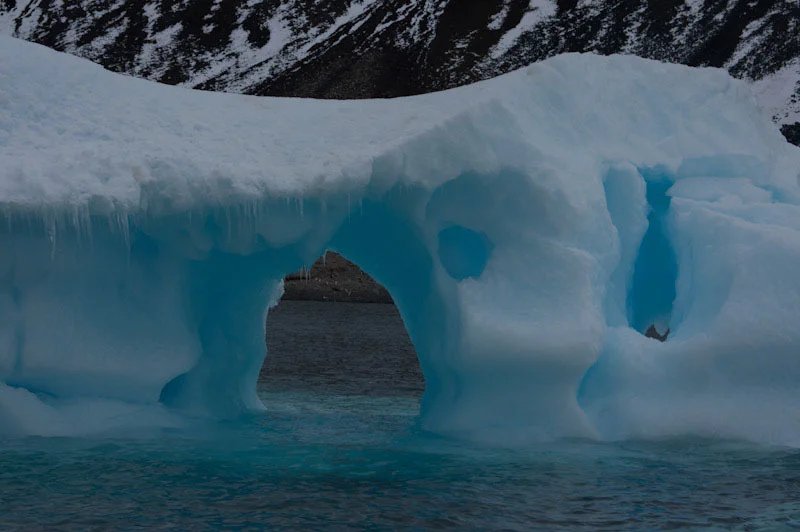 antarcticblogtwo78.jpg