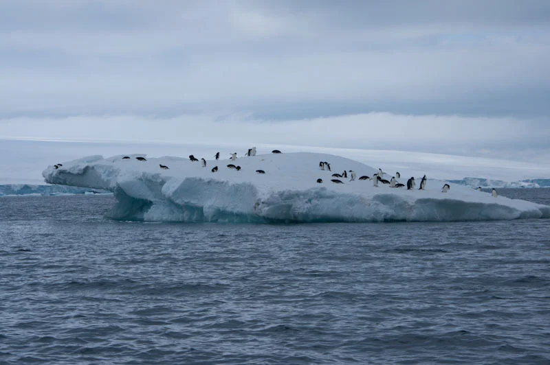 antarcticblogtwo76.jpg