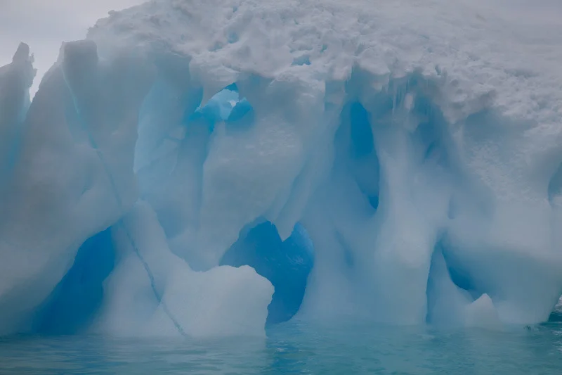 antarcticblogtwo84.jpg