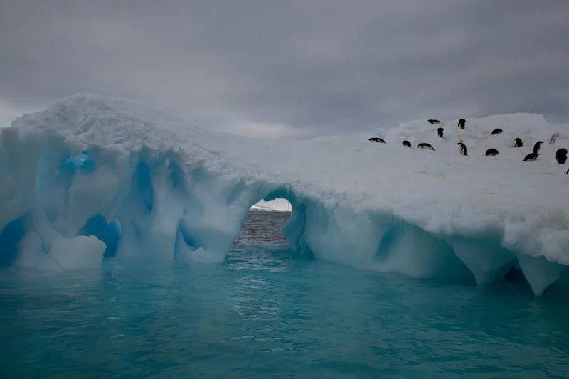 antarcticblogtwo85.jpg