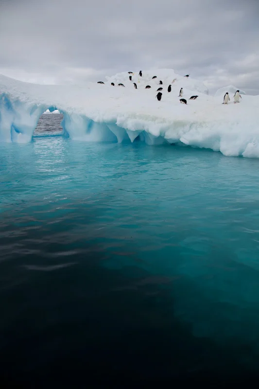 antarcticblogtwo86.jpg