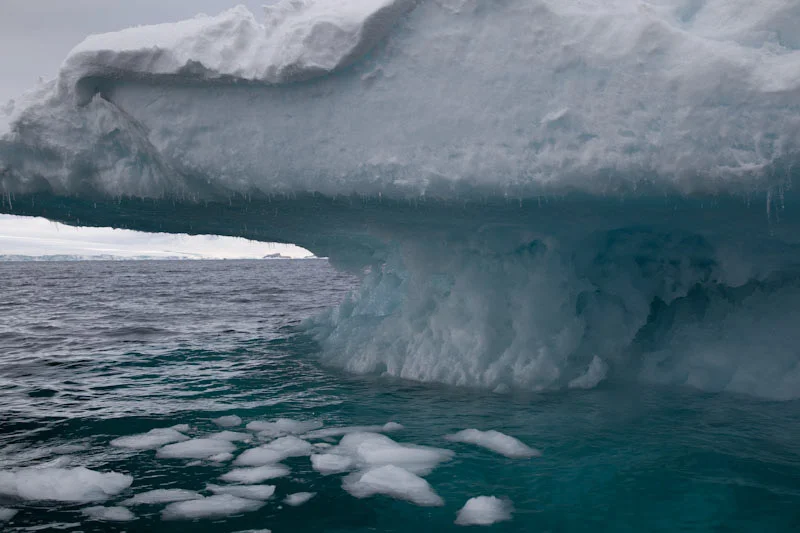 antarcticblogtwo81.jpg