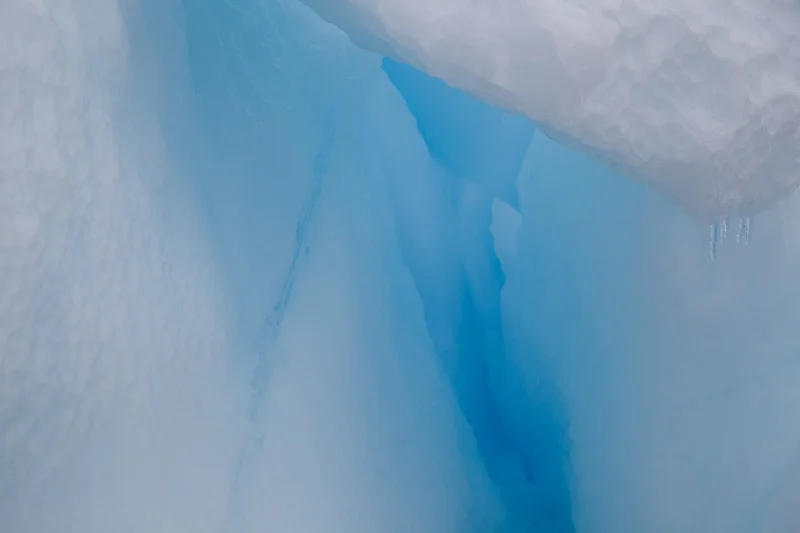 antarcticblogtwo83.jpg