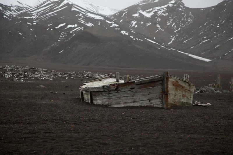 antarcticblogtwo95.jpg