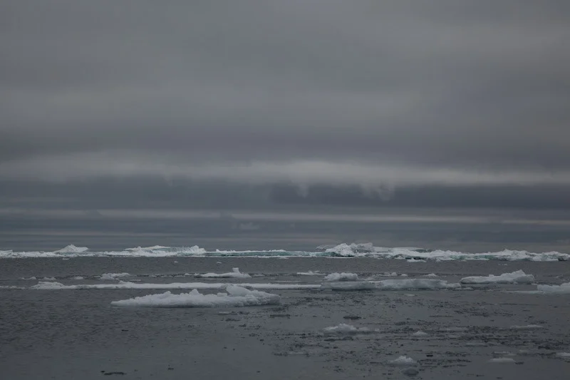 antarcticblogtwo19.jpg