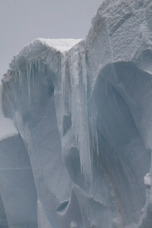 antarcticblogtwo31.jpg