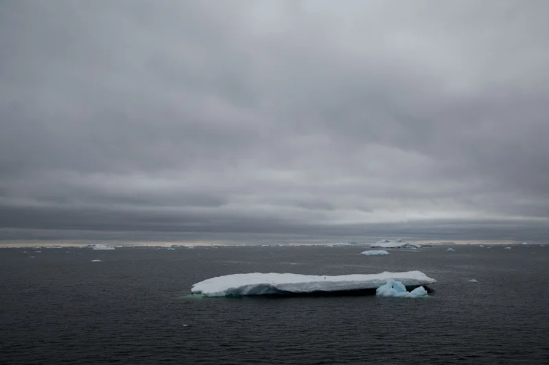 antarcticblogtwo33.jpg