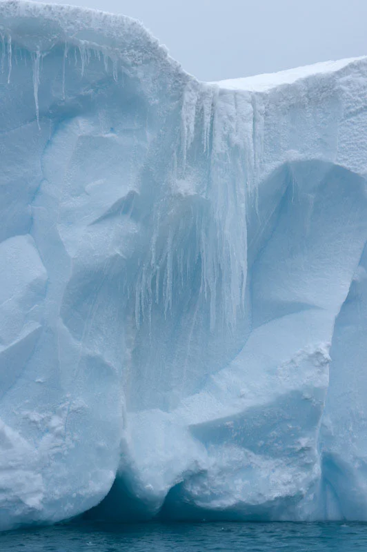 antarcticblogtwo26.jpg