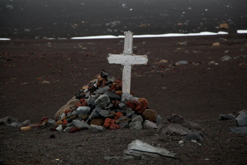 antarcticblogtwo101.jpg