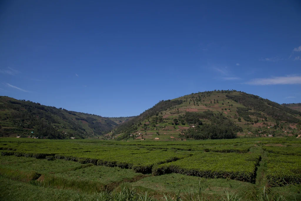 rwanda blog gallery-7.jpg