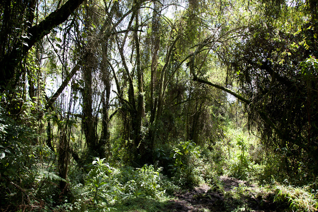 rwanda blog gallery-23.jpg