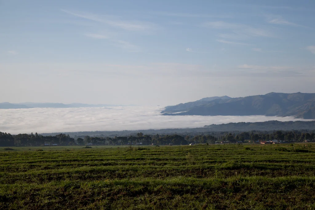 rwanda blog gallery-14.jpg