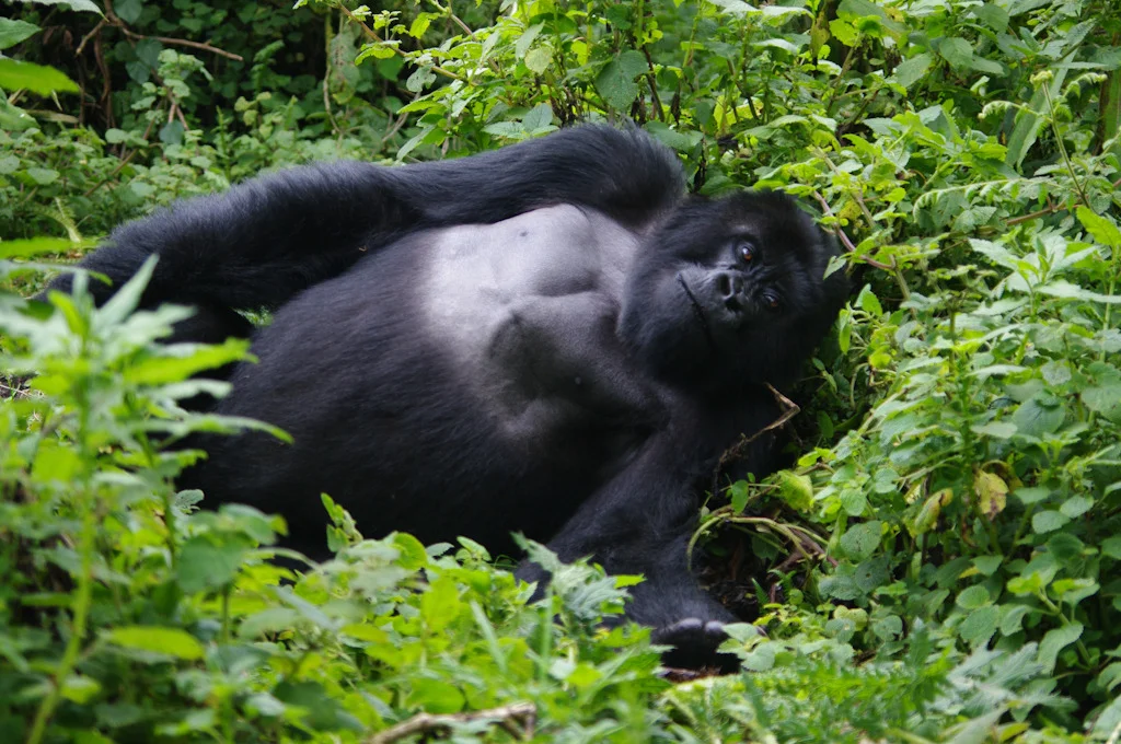rwanda blog gallery-30.jpg