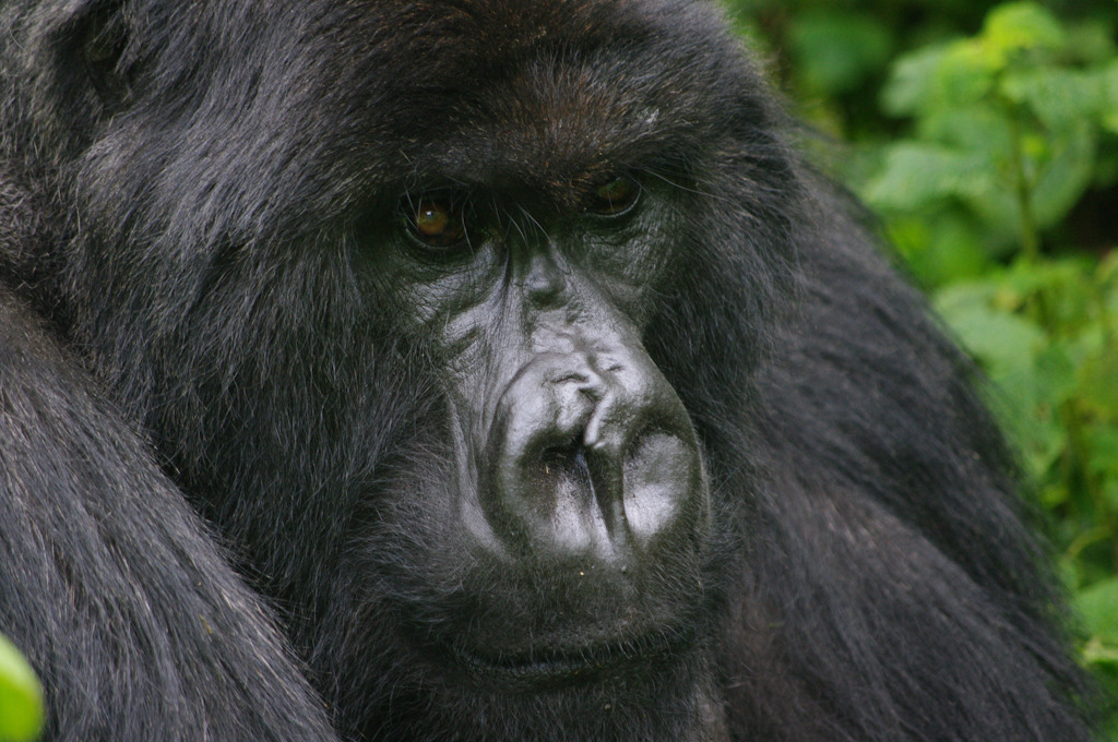 rwanda blog gallery-33.jpg