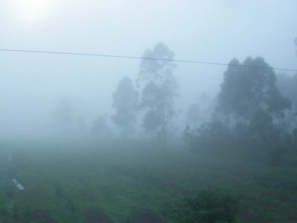 rwanda blog gallery-6.jpg
