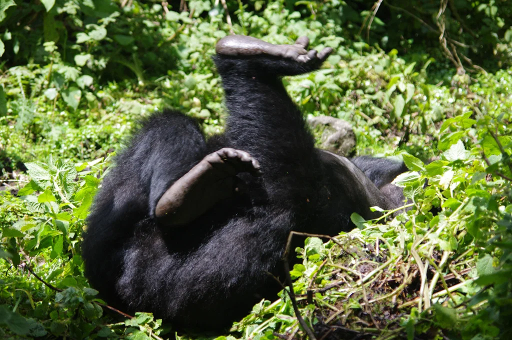 rwanda blog gallery-38.jpg