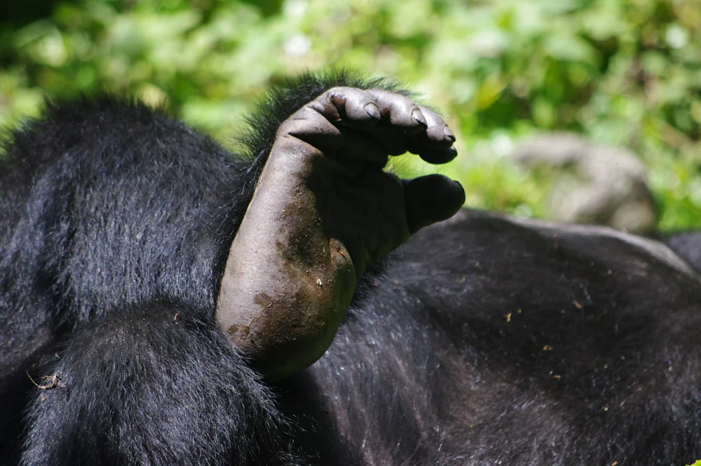 rwanda blog gallery-39.jpg