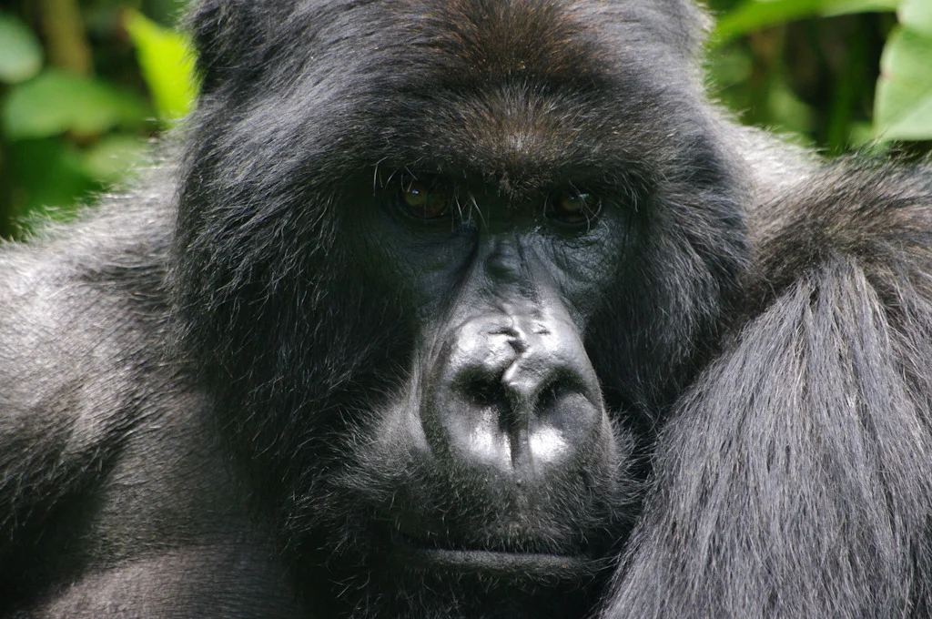 rwanda blog gallery-42.jpg
