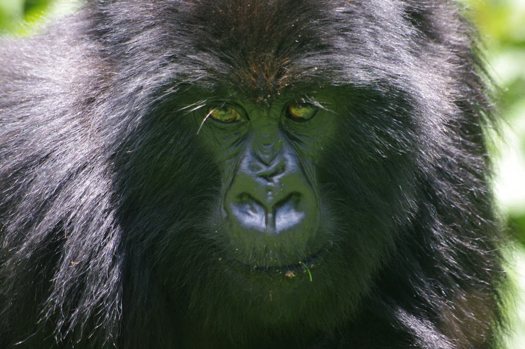 rwanda blog gallery-43.jpg