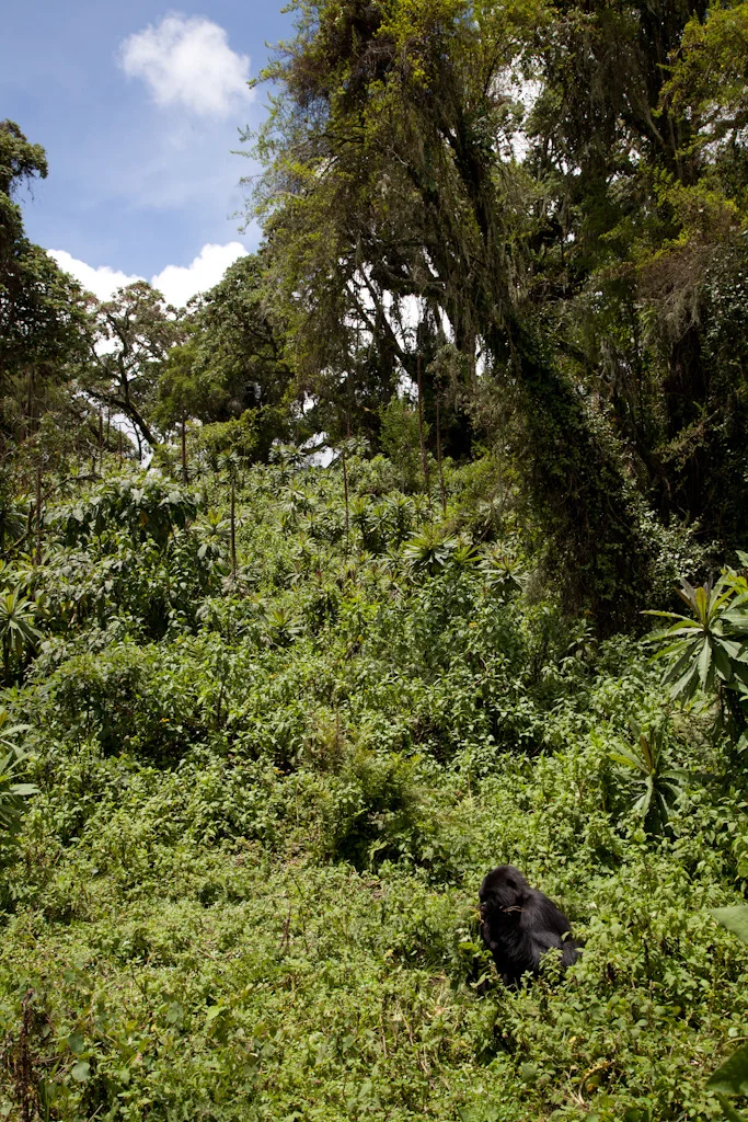 rwanda blog gallery-60.jpg