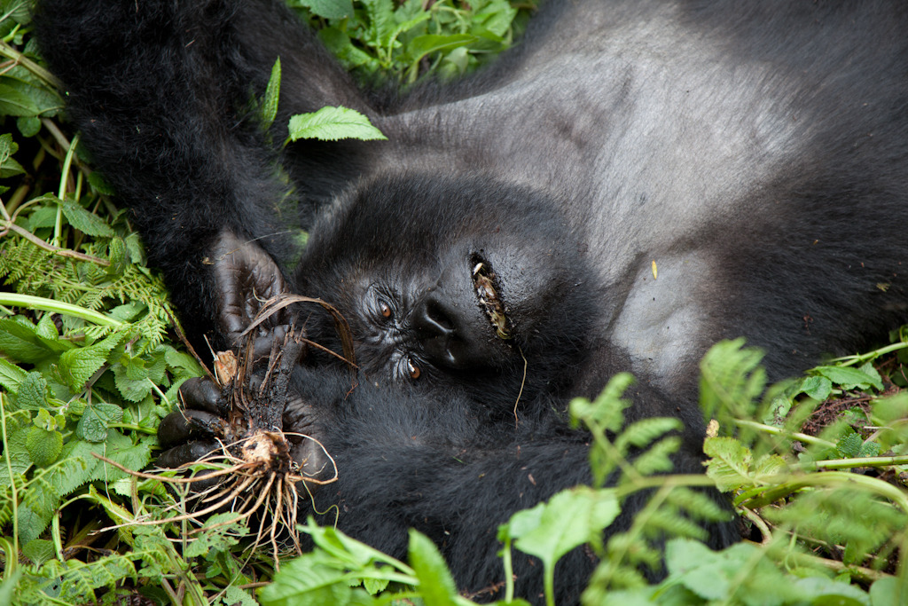 rwanda blog gallery-64.jpg