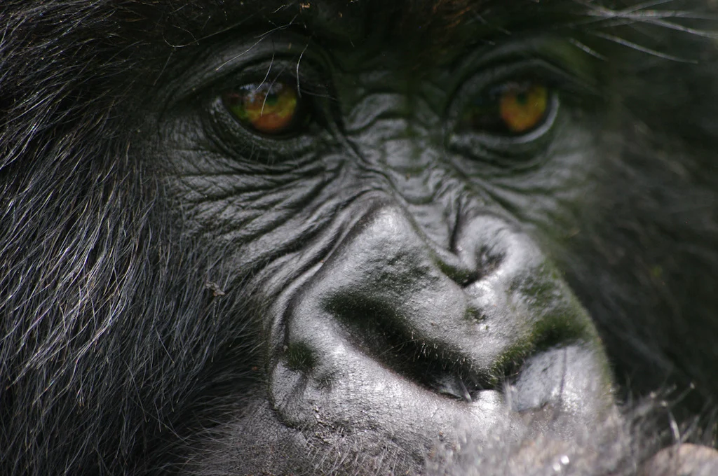 rwanda blog gallery-47.jpg