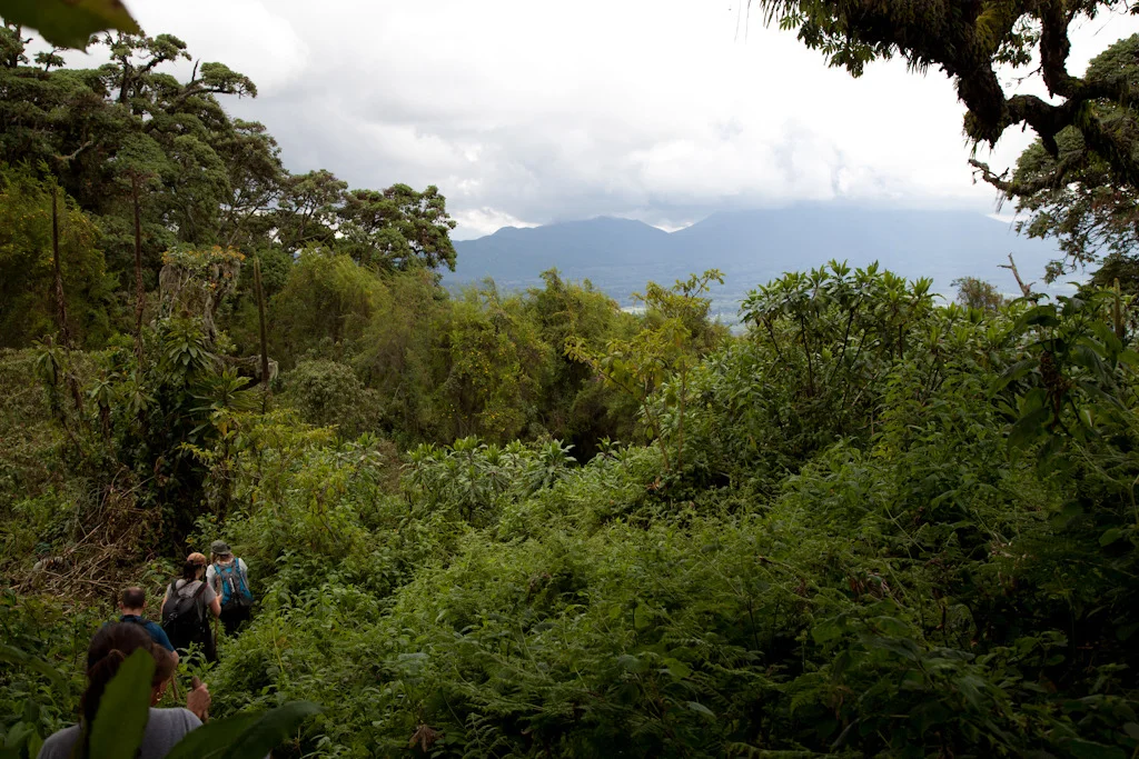 rwanda blog gallery-69.jpg