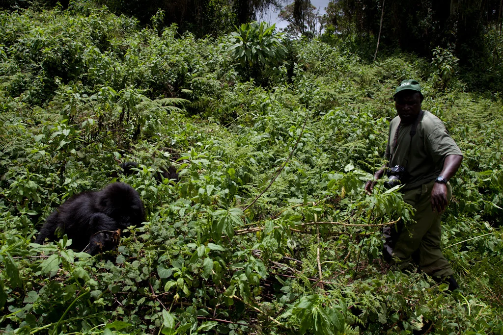 rwanda blog gallery-65.jpg