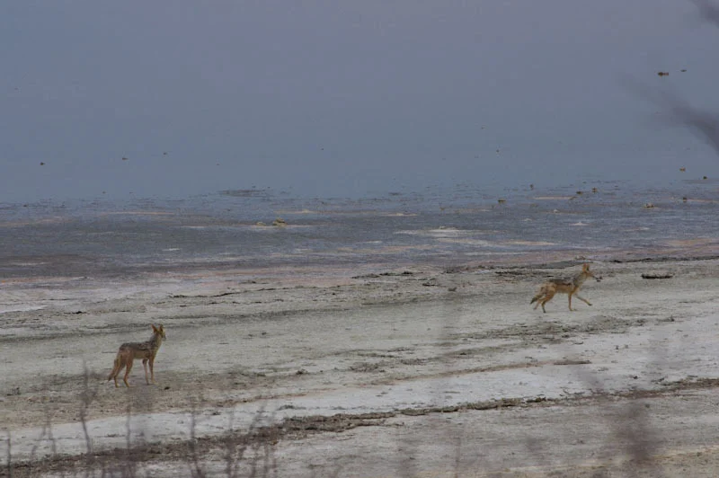 northnamibblog43.jpg