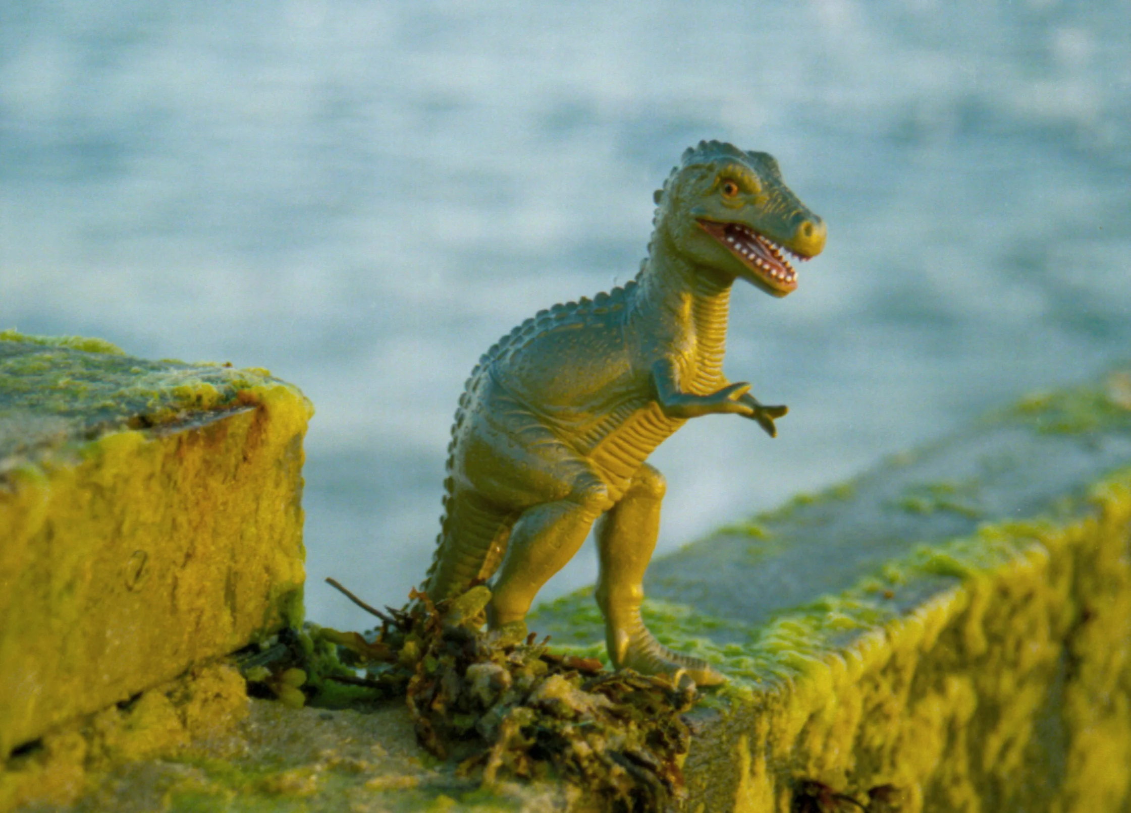 toys 2013 blog 3.jpg