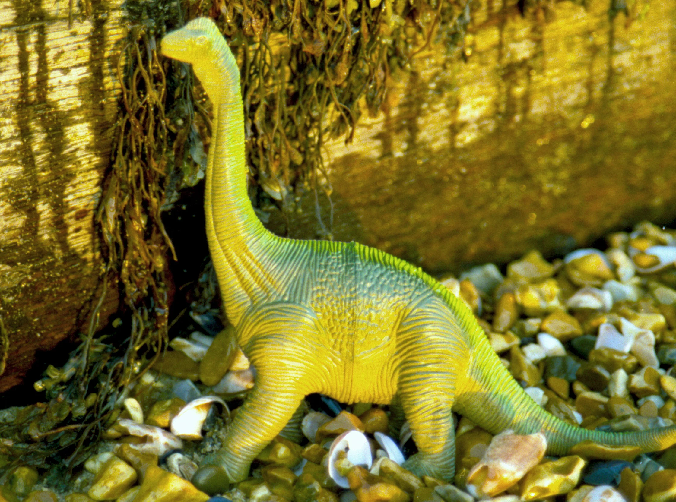 toys 2013 blog 4.jpg