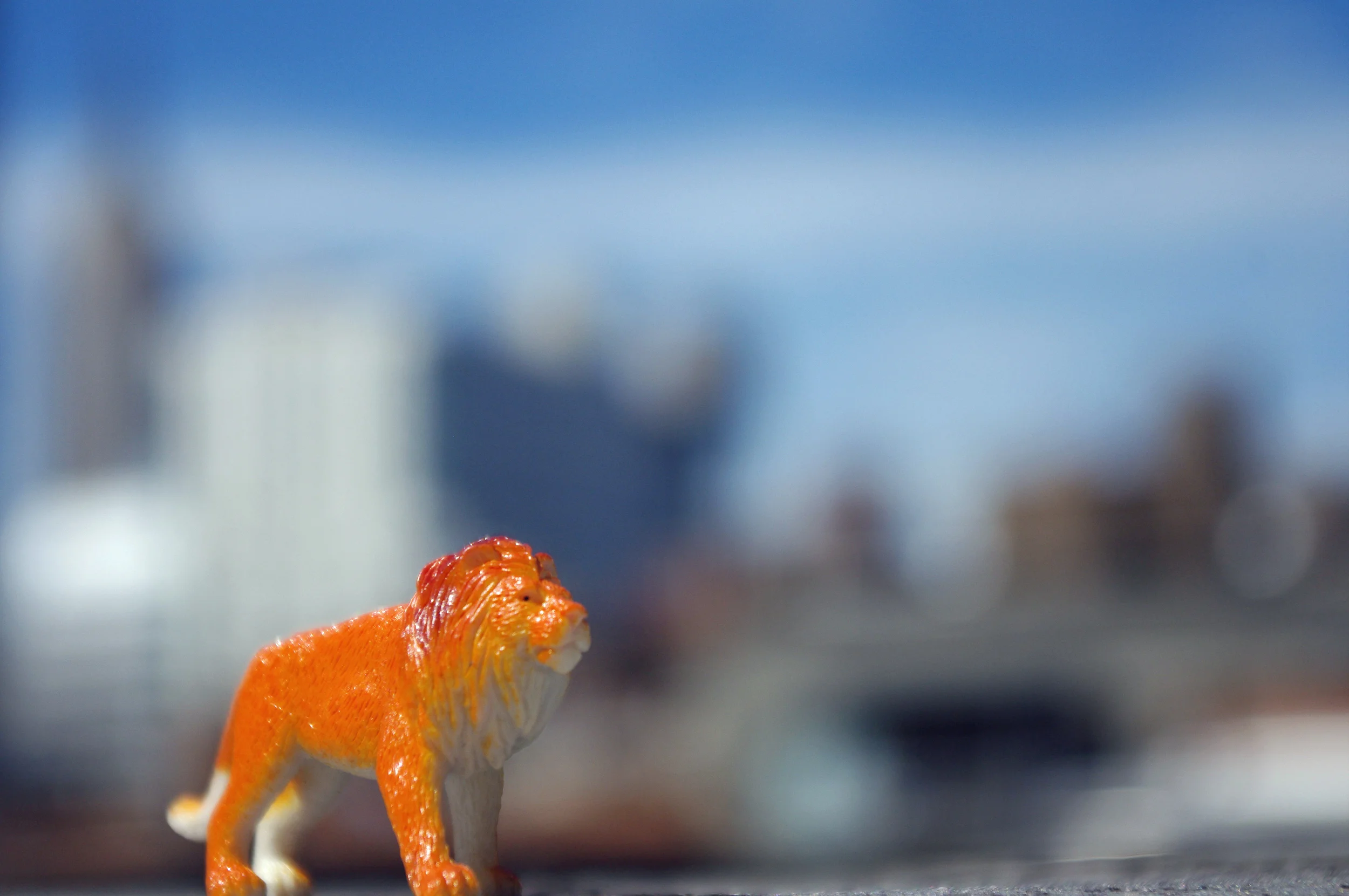 toys 2013 blog 14.jpg