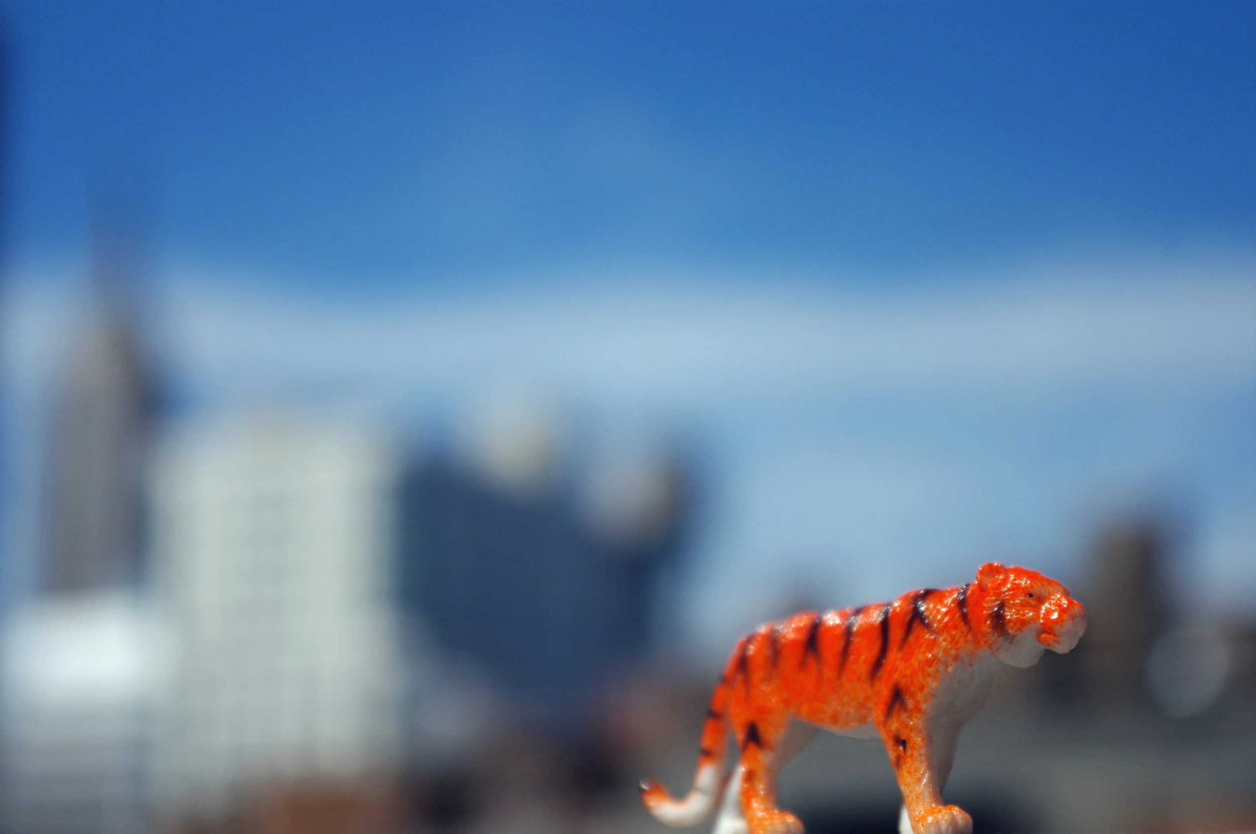 toys 2013 blog 15.jpg