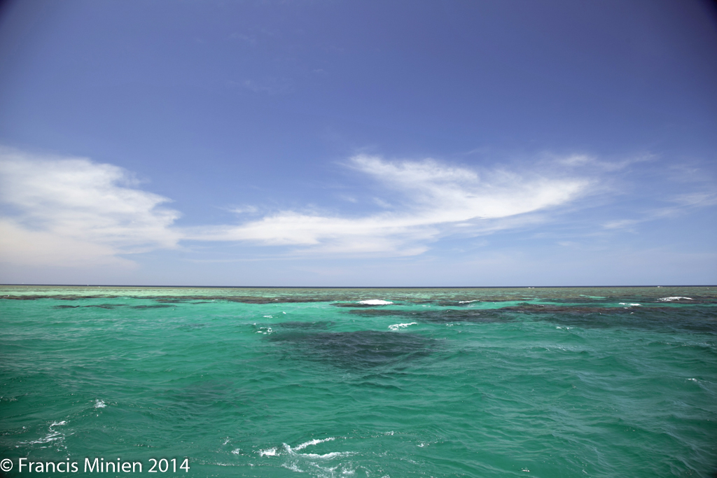 fmaustraliaapril201408.jpg