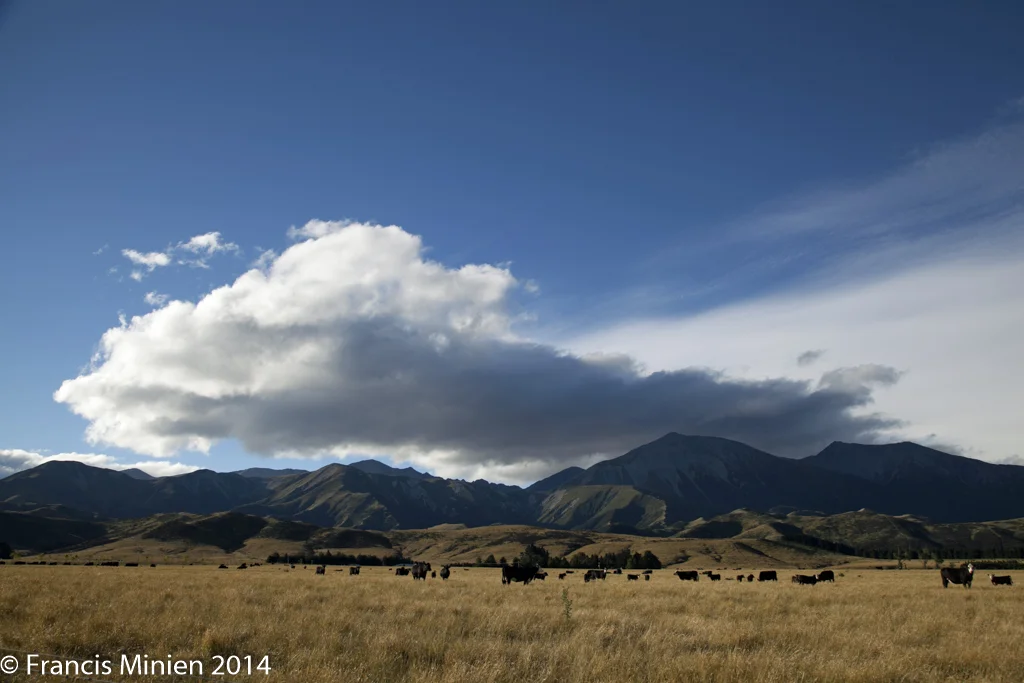 fmnewzealandapril201405.jpg