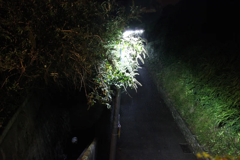 1 Day 1 Photo09.jpg