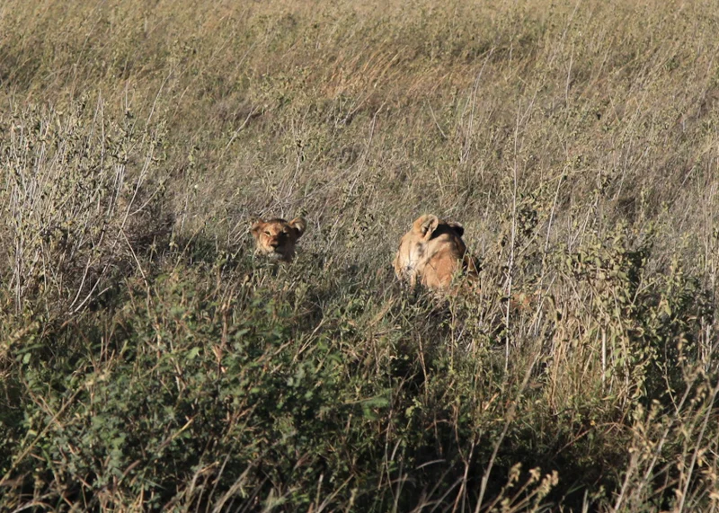 1 Day 1 Photo43.jpg