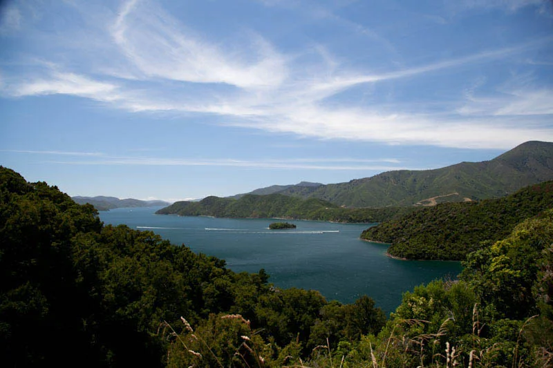 nzblogweektwo6.jpg