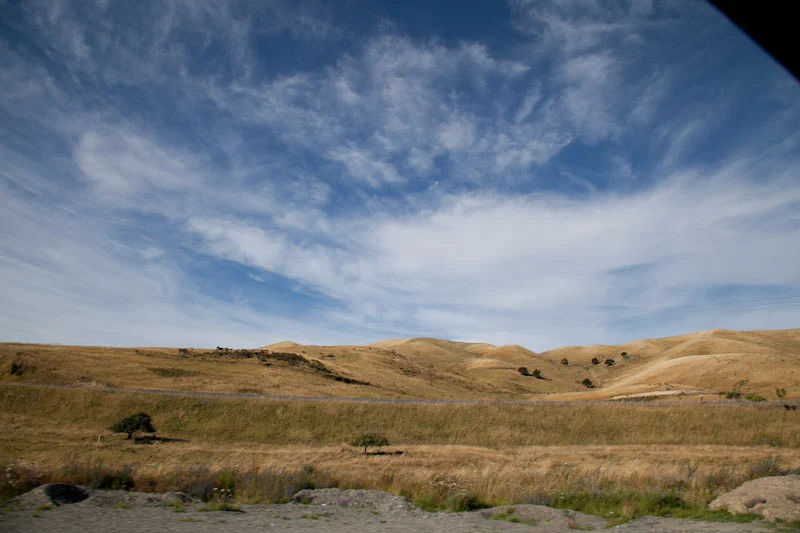 nzblogweektwo16.jpg