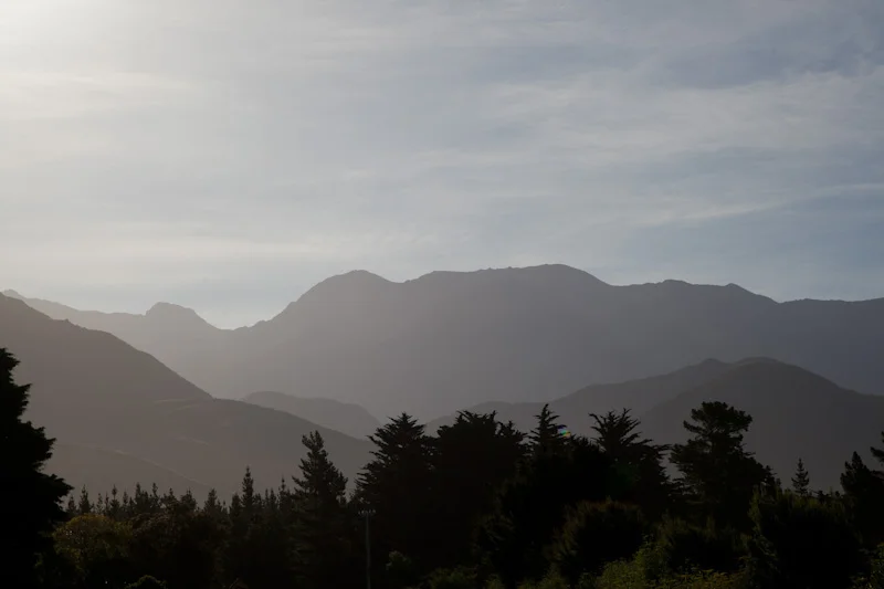 nzblogweektwo19.jpg