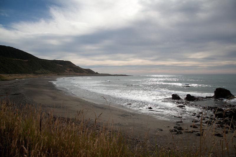 nzblogweektwo29.jpg