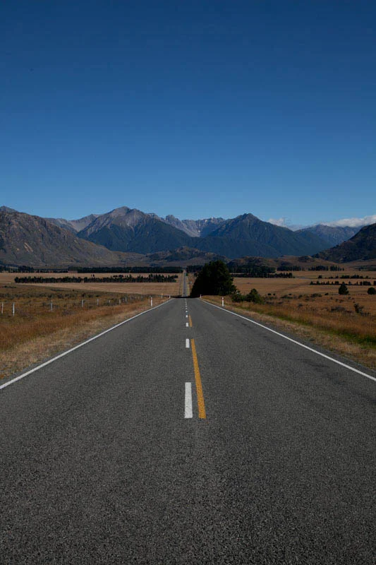 nzblogweektwo49.jpg