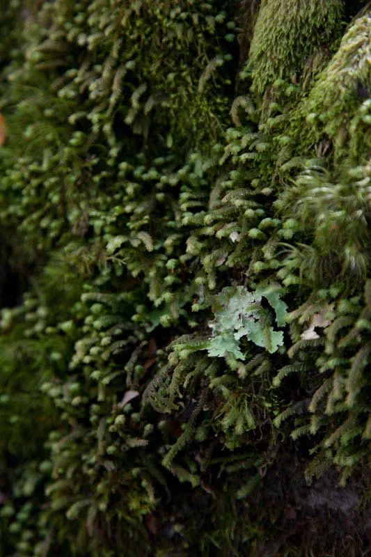 nzblogweektwo62.jpg