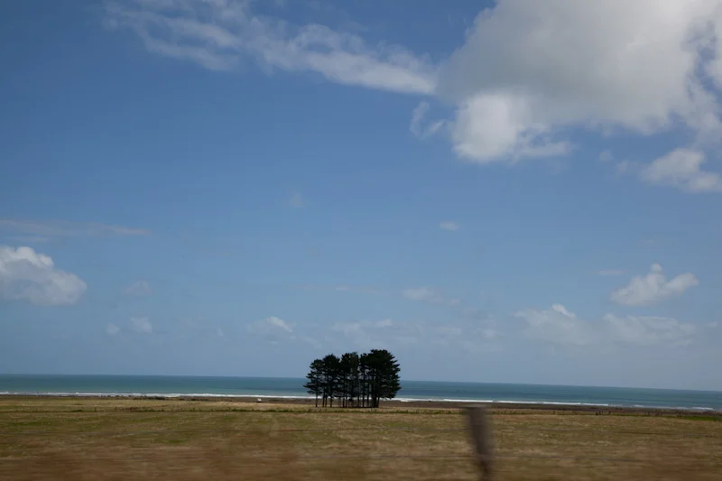 nzblogweektwo81.jpg